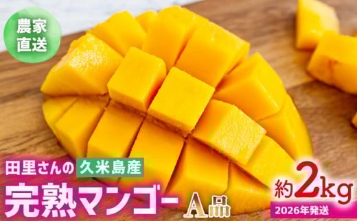 【2026年発送】農家直送!田里さんの久米島産完熟マンゴー A品 約2kg マンゴー フルーツ 果物 デザート 完熟 A品 甘い ジューシー スムージー アイス プリン ヨーグルト ケーキ 贈り物 贈答 ギ