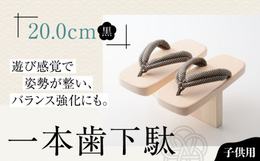 сAI̊b{ʁi20.0cmSt ԏj QFs/lؗH [AGCA009]  Q^ a C  T_ Xbp  t@bV   a