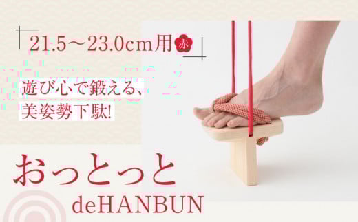  |ۂƈ{ʂ̗ZIƂdeHANBUNSti21.5ԁj QFs/lؗH [AGCA014]  Q^ a C  T_ Xbp  t@bV  