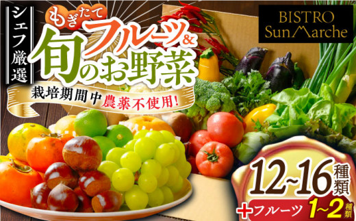 y lߍ킹zi؁EʕjVFt̖ڐŌII {̖؃Zbg×ăt[cZbg Fs/iLjqt@~[t[Y [AGBX006] s\  ؃Zbg ₳ ₳Z