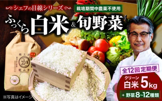 yS12ցzy 5kg{؁zVFt̖ڐŌII N[ 5kg+{̂؃Zbgyӂ邳Ɣ[Ōz Fs/iLjqt@~[t[Y[AGBX011]  5kg  5kg 