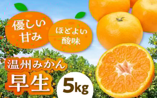 ys\zy11{珇z B݂  5kg QFs/J[VgX[AGBW004] s\ ݂ ~J  B~J B݂ ʕ  t[c QY 