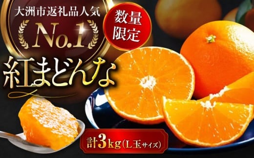 y11{珇zy ʌz g܂ǂ LTCY  3kgi15ʓjQFs/Q_Ƌg[AGAO006] ݂ ~J g}hi ʕ  t[c QY