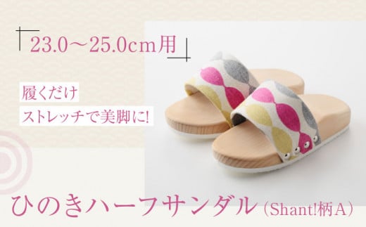 T_ Xgb`ŔrɁIЂ̂n[tT_iShant!Aj QFs/lؗH [AGCA045]   Q^ a C  T_ Xbp  t@bV  