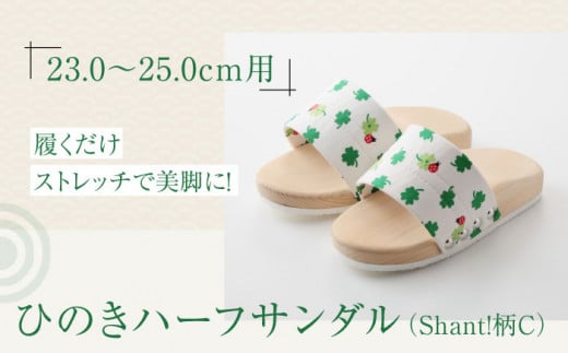 T_ Xgb`ŔrɁIЂ̂n[tT_iShant!Cj QFs/lؗH [AGCA047]   Q^ a C  T_ Xbp  t@bV  