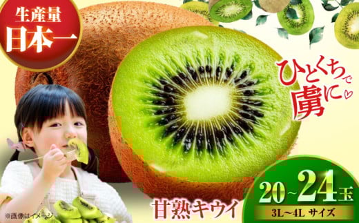 ys\zy2026N1{菇zÏn LEC t[c 20  24ʁi 3L  4L TCYj QFs/[AGBN001] LEC ʕ  t[c QY FsY Yn