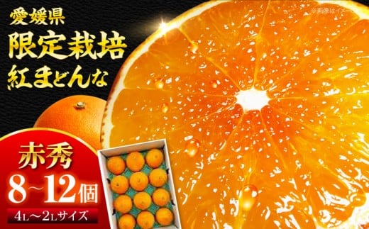 g܂ǂ ԏG 812iJAQǓYjys\zy11{珇z QFs/ЃtWEAOt[Y [AGBA002] s\ ݂ ~J  g}hi g