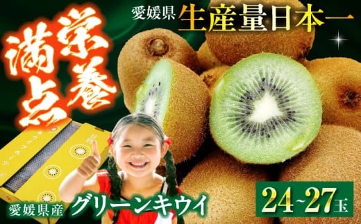 ys\zy2026N1{珇zO[LEC 24ʁ`27ʓ QFs/ЃtWEAOt[Y [AGBA009] s\ LEC LECt[c ʕ  t[c Q
