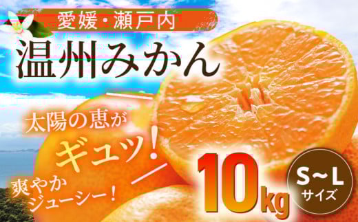 ys\zy11{菇zB ݂ 10kg i S  L TCY j QFs/[AGBN016] ݂ ~J  B~J B݂ ʕ  t[c QY 