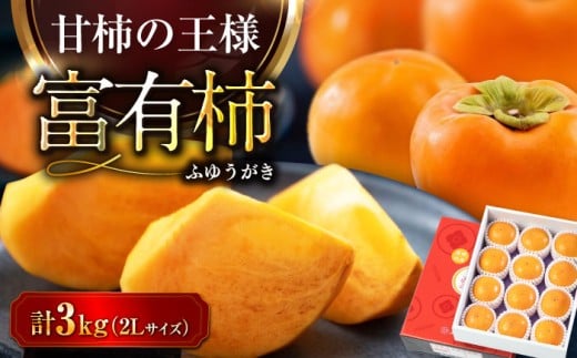 ys\zy11{珇z xLiӂ䂤j` 2LTCY 3kg ϔi12ʓjQFs/Q_Ƌg[AGAO011] `  JL ʕ  t[c QY