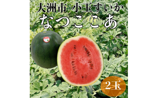 Hׂ₷TCYIʃXCJuȂv2ʁiv6kgȏj QFs/ЃtWEAOt[Y [AGBA014] XCJ  Z  ʕ t[c  ₳ VN QY 