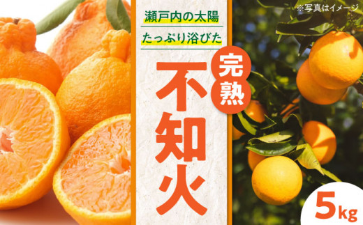 ys\zy2026N2{珇znʂ 5kg QFs/i_ [AGAW003] s\ ݂ ~J  sm ʕ  t[c QY FsY Yn 