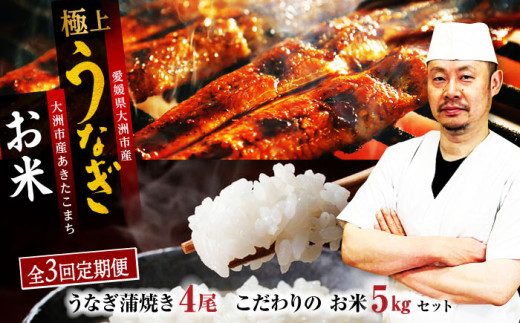 yS3ցzȂ Ă 4  nY    5kg Zbg QFs/L M䗷[AGAH009] Ȃ Y V Ș V ȏd Vd ΏĂ    Z