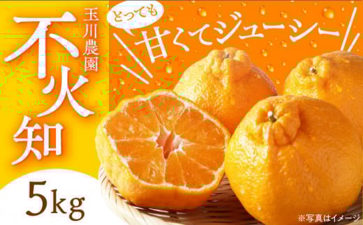 ys\zy2026N3{珇zsm 5kg QFs/ʐ_ [AGBC003]  ʕ t[c k sm ʂ fR| łۂ ݂ QY FsY Yn