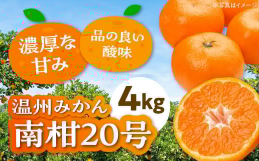 y12{珇z B݂ 승20 4kg y܂Il߁z QFs/J[VgX[AGBW002] s\ ݂ ~J  ʕ  t[c QY Fs