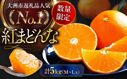 y12{珇zy ʌz g܂ǂ M`LʃTCY ƒp5kgi24ʁ`30ʁj QFs/Q_[AGAO009] ݂ g}hi ʕ  t[c QY