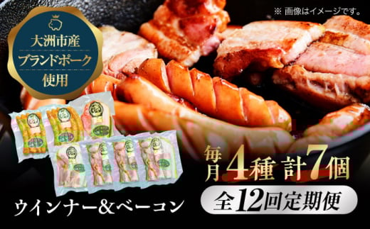 yS12ցz x[RƃEBi[Zbgijuh|[NwIY̔薺xgpIQFs/ЃIYbZ [AGAZ024] ɂ    ؓ Ԃɂ  ؂藎Ƃx