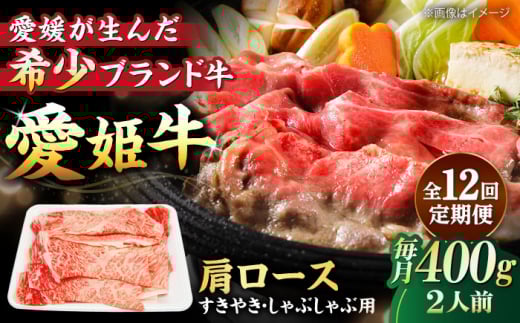 yS12ցz Y  P[X ĂEԂԗp 400gi2lOjQFs/L ؑX [AGCC045] ɂ    a Ya Ԑg uh  