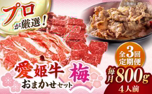 yS3ցz  󏭂ȍYuhIuPvXɂ܂{Zbgy~z 800gi4lOjQFs/L ؑX [AGCC055]   ܂ Ԑg    