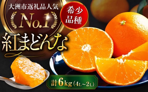 ys\zy11{珇z g܂ǂ  6kgi4L` 2LTCY 8`12 ʓ v3kg×2jQFs/Q_[AGAO016] ݂g}hi ʕ  t[c QY F