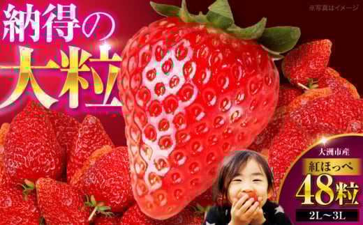  gق 48 i24×2jys\zy2026N1{`珇z QFs/LАR[AGAR002] ʕ  t[c  ₳  C`S 䕈 QY F