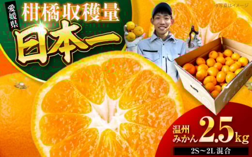 y12{珇z B݂ 2.5kg i2S2LTCYj QFs/ʐ_[AGBC004] s\ ݂ ~J  B~J B݂ ʕ  t[c QY F