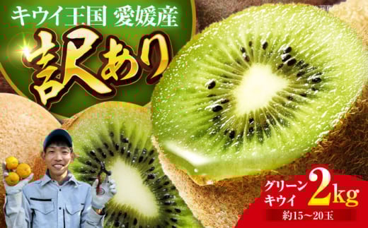 ys\zy11{珇zy󂠂z O[LEC 2kg i15ʂ20ʁj h{ՂIQFs/ʐ_ [AGBC011] s\ LEC LECt[c ʕ  t