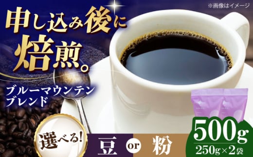 yz u[}Eeuh 500g i250g×2܁j  R[q[ R[q[ R[q[ hbv hbv  QFs/Г [AGCU007-2] R[q[     