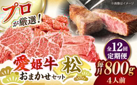 yS12ցz󏭂ȍYuhIuPvXɂ܂{Zbgyz800gi4lOjQFs/L ؑX [AGCC063]  Ԑg      a O