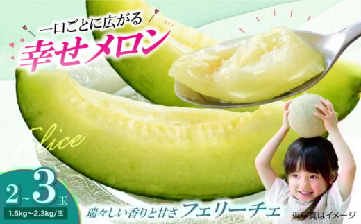 ys\zy6{珇z  tF[`F 23 QFs/_ [AGCX002] ߂ ʕ  t[c VN QY FsY Yn  lC
