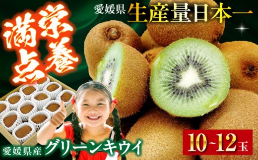 ys\zy2026N1{珇zO[LEC 10ʁ`12ʓ QFs/ЃtWEAOt[Y[AGBA016] s\ LEC LECt[c ʕ  t[c Q