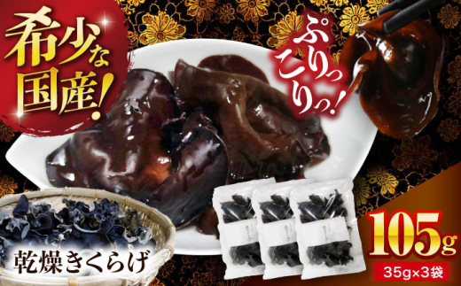 y󏭂ȍYizFYE炰 105gi35g×3܁j [AGBK006] 炰 Y 炰  炰  ܂ aH ؗ LNQ Y [ gbsO ؎ Y 