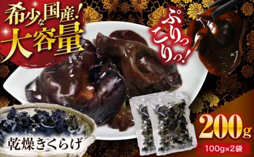 y󏭂ȍYizyeʁzFYE炰 200gi100g×2܁j [AGBK009] 炰 Y 炰  炰  ܂ aH ؗ  LNQ Y [ gbsO 