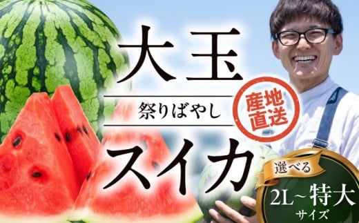 XCJys\zy2026N6{珇z XCJyՂ΂₵z 4Li9`10kgj×2 v18`20kg QFs/ӂ_ [AGDH004] XCJ  Z  ʕ t[c  ₳