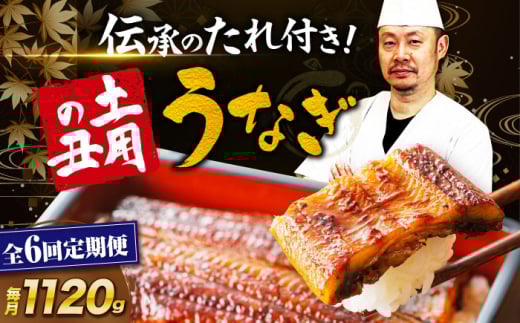 VyS6ցzȂ Ă ① ^pbN 8i2×4jEiM i Y Ș V ȏd Vd ΏĂ   N̓ yp̉N̓  lC    ①