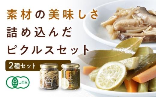 y sNXZbg 2 QFs/iino assemble[AGAA014] sNX  ₳ lߍ킹 Zbg HHi Е Е   lC    Mtg 