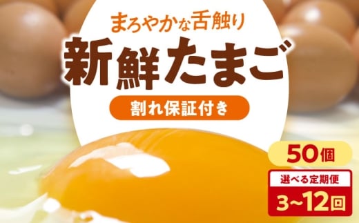 ܂ yS12ցz  C܂ 5pbNi50jۏ؂ 50 5pbN { C炿 Z TKG ܂͂ ͂ QFs/ac{{   