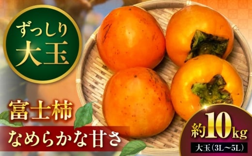 `ys\zxm` 10kg  ʕ Mtg t[c ˂Ȃ Ȃ `  JL  ʕ  fU[gȂ߂炩 킢 ω gg Â n H H̖o { `W XC