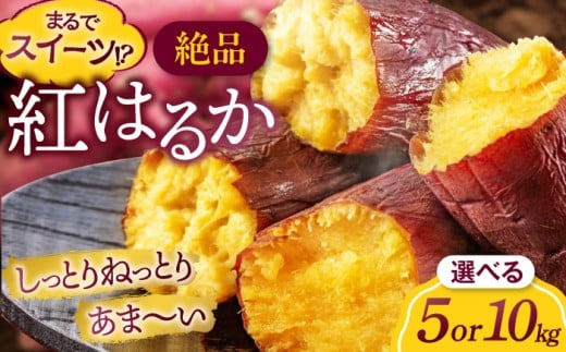 ܂ig͂邩j5kg QFs/Ys [AGAP020] ܂ 5kg g͂邩 5kg ĂQFs11000؁ÊႪEC