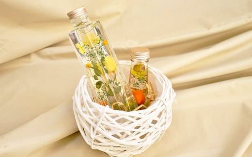 Pt[Z\m̃n[oEi200?r1{A120?r1{ALEDCgj20-11R22000ߗށEiEH|ȋ iEH|i