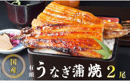 国産 うなぎ 蒲焼 2尾 特製ダレ付 冷凍 海鮮 魚介 京都 舞鶴 鰻 蒲焼 蒲焼き かば焼き 国産うなぎ 国産鰻 土用 丑の日 うしのひ うな重 うな丼 ひつまぶし 土用の丑の日 タレ付き京都府35000魚