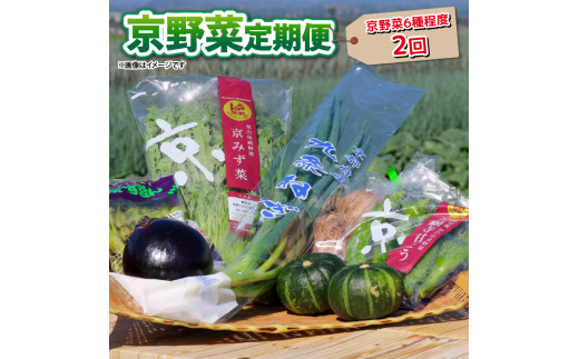 y 2 z   6 x  2  lߍ킹 s ؃Zbg G { h{H h{ lM 莛 ΂Ȃ s{Y ʌ ① T_ N BBQ o[xL[