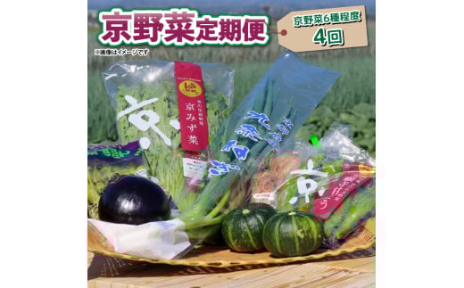 y 4 z   6 x  4 lߍ킹 s ؃Zbg G { h{H h{ lM 莛 ΂Ȃ s{Y ʌ ① T_ N BBQ o[xL[ N