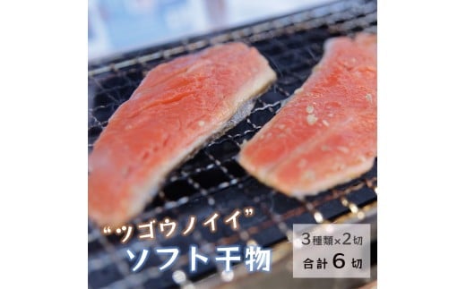干物 3種類 × 2切 合計6切 ツゴウノイイ ソフト レンコダイ 鯖 サバ 銀鮭 シャケ 鮭 サケ 海鮮 魚介 おかず 晩酌 おつまみ 魚 魚介 冷凍 ギフト 贈答 プレゼント 化粧箱 京都 京都府 宮津産  海