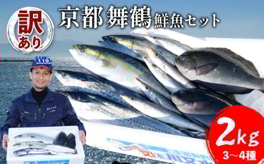 訳あり 京都舞鶴 鮮魚 詰め合わせセット 3〜4種 約2kg 2キロ 旬の魚 季節の魚 旬 セット 詰め合わせ おまかせ 厳選 朝獲れ 鮮度抜群 新鮮 冷蔵 まるごと 丸ごと お刺身 刺身 煮付け あじ サバ