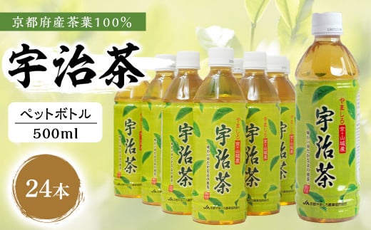 【宇治茶】 京都産 宇治茶 ペットボトル 500 ml × 24本 ( 京都府産 京都産 お茶 茶 京都 宇治 宇治茶  緑茶 ペットボトル 500 24本 常温 煎茶 かぶせ茶 熱中症対策 熱中症予防 熱中症 備蓄 夏 )