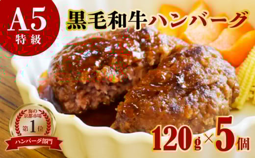 訳あり 国産 A5 黒毛和牛 手ごね ハンバーグ120g×5個 小分け 個包装 冷凍 牛肉 お弁当 高級 ギフト 人気 ワケアリ 贈答用 ジューシー 美味しい おすすめ レシピ 簡単 焼き方 10000円 一万京都府10
