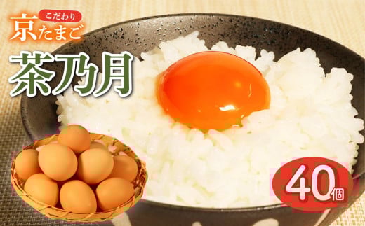 京たまご 茶乃月 40個 ( 京たまご 茶乃月 40個 こだわり たまご 卵 濃い 玉子 セット 玉子焼き 卵焼き たまごかけご飯 卵かけご飯 ゆで卵 鶏卵 卵黄 京都 国産 産みたて )京都府10000卵・乳製品