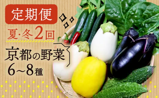 【定期便】2回 夏冬の野菜6〜8種 セット 夏 冬 お届け 京野菜 京都 なす 野菜 夏野菜 冬野菜 おまかせ 有機 栽培 年2回 10000 円京都府10000野菜・きのこその他 野菜
