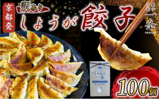 訳あり しょうが餃子 100個 冷凍 ぎょうざ ギョウザ ギョーザ しょうが 生姜 豚肉 便利 簡単調理 惣菜 絶品 おかず お子様 家族 こだわり餃子 餃子 人気餃子 簡易包装餃子 訳あり餃子 訳アリ